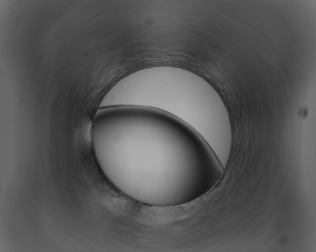 X0000091690041200708231140