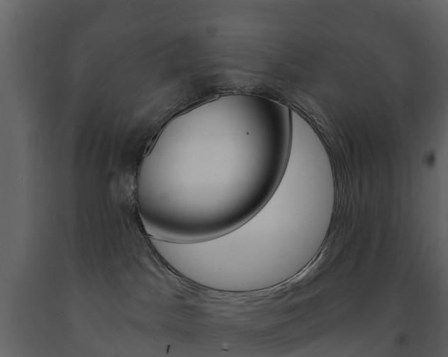 X0000091690045200708231140