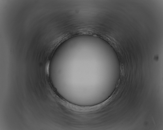 X0000091690047200708231140