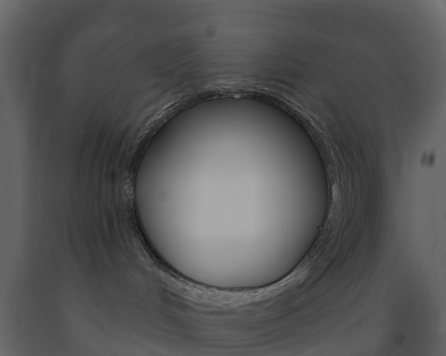 X0000091690048200708231140