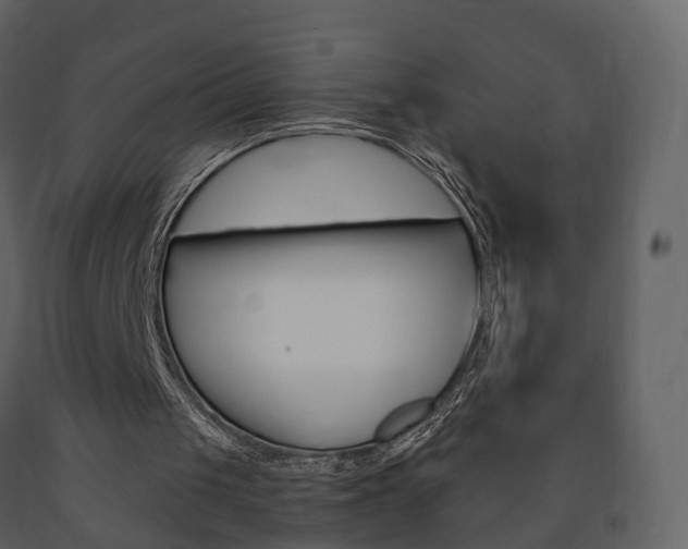X0000091690049200708231139