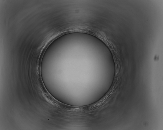 X0000091690050200708231139