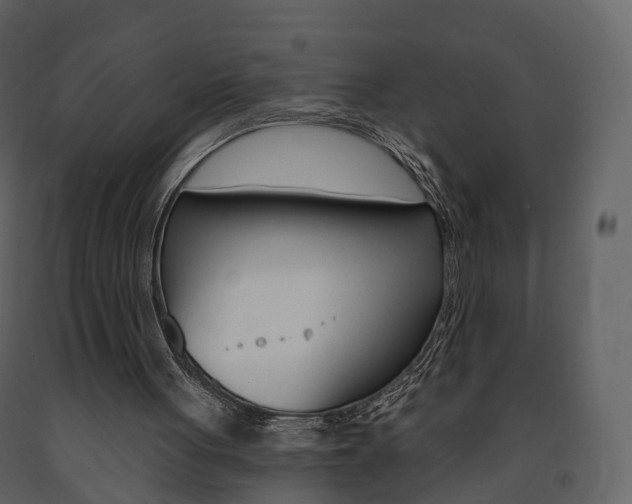 X0000091690051200708231139