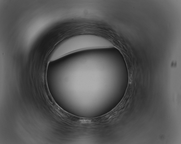 X0000091690052200708231139