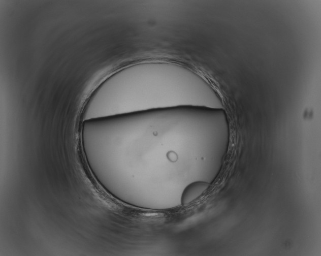 X0000091690053200708231139