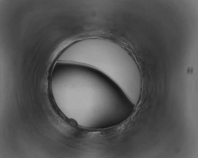 X0000091690054200708231139