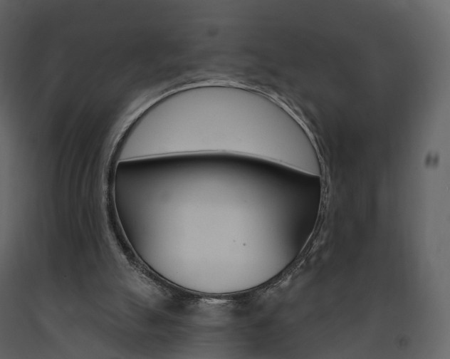 X0000091690055200708231139