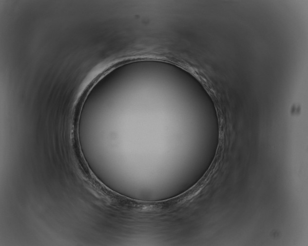 X0000091690056200708231139