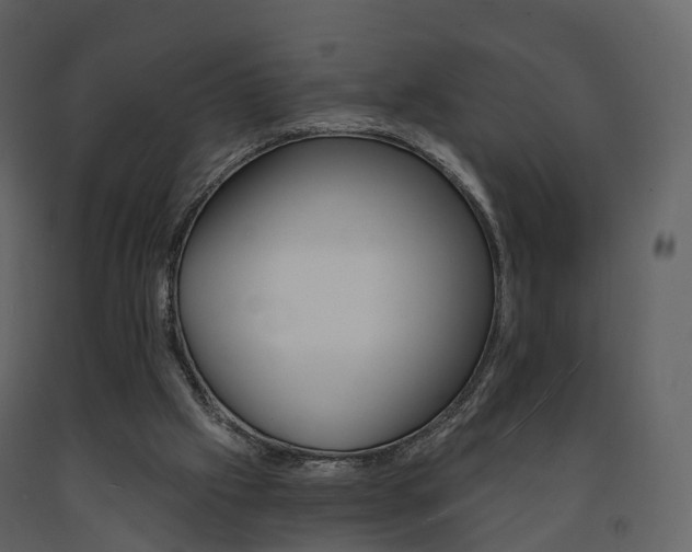 X0000091690057200708231139