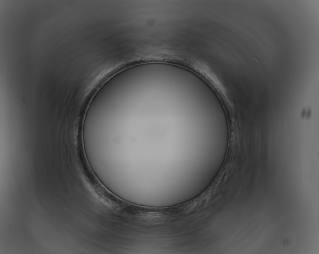 X0000091690058200708231139