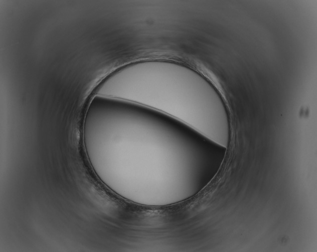X0000091690059200708231139