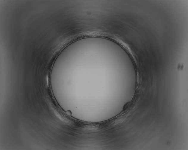X0000091690061200708231139