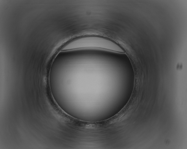 X0000091690064200708231139