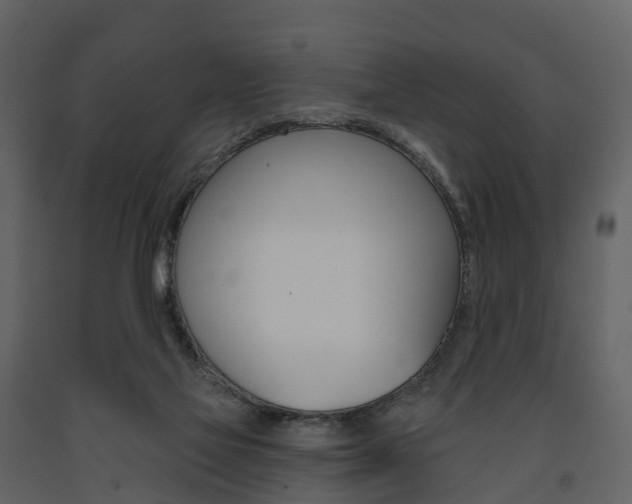 X0000091690069200708231139
