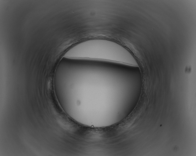 X0000091690071200708231139