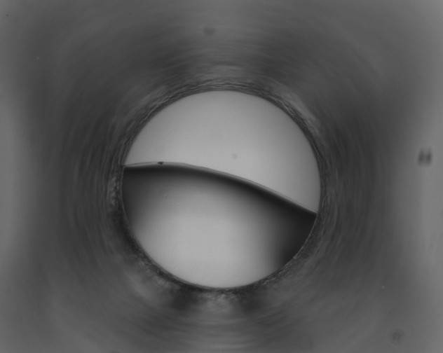 X0000091690073200708231139