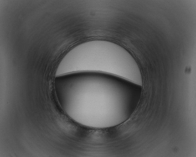 X0000091690074200708231139
