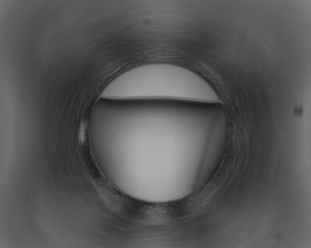 X0000091690075200708231139