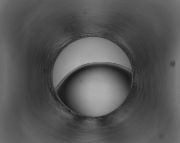 X0000091690076200708231139