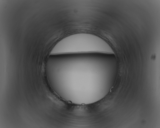 X0000091690077200708231139