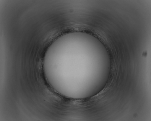 X0000091690078200708231139