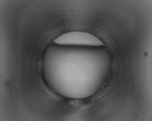 X0000091690079200708231139