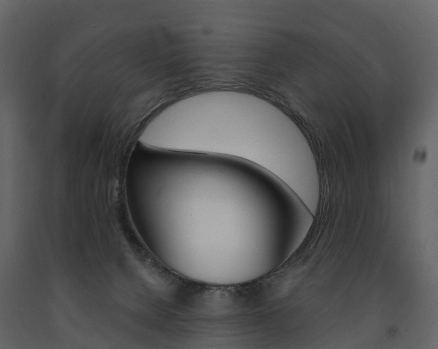 X0000091690080200708231139