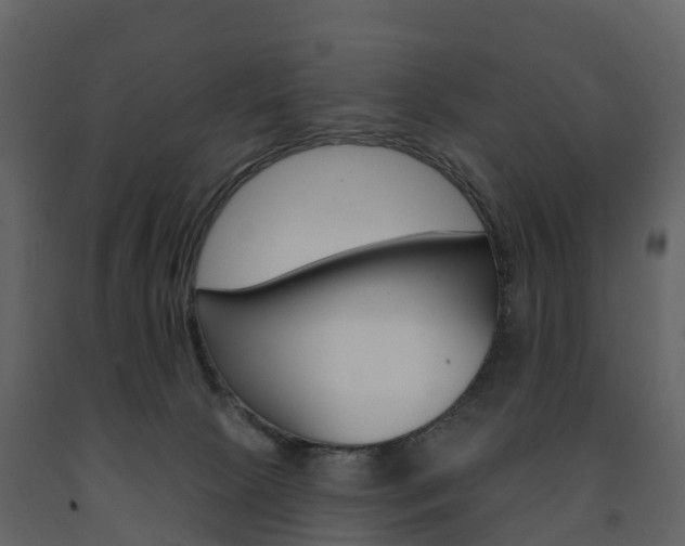 X0000091690081200708231139