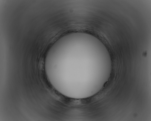 X0000091690083200708231140