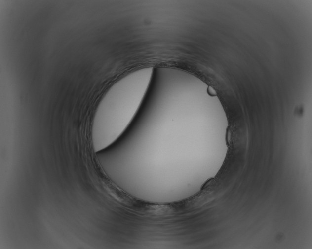 X0000091690087200708231140