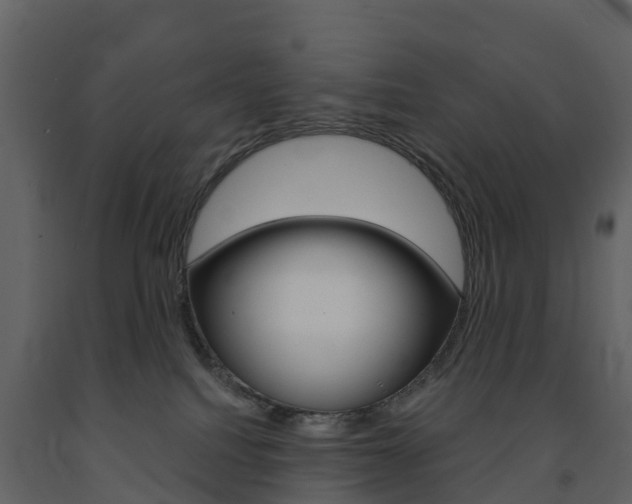 X0000091690088200708231140