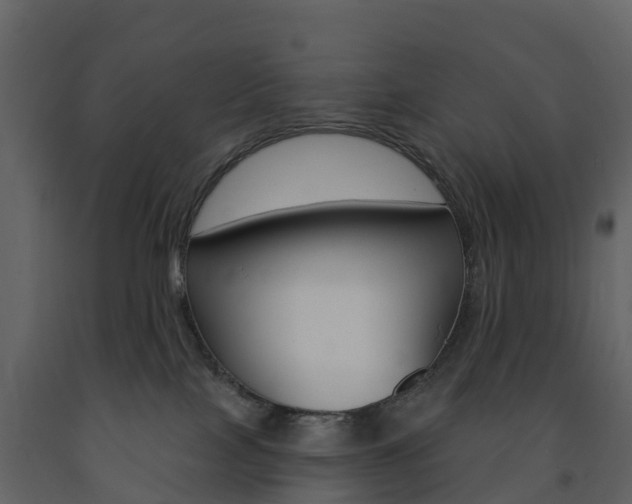 X0000091690089200708231140