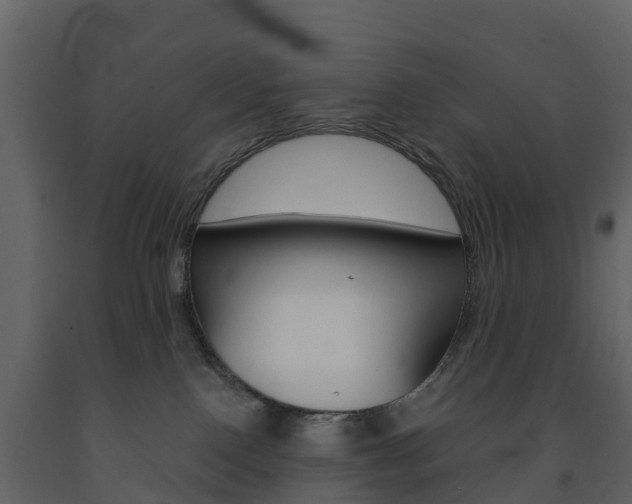 X0000091690090200708231140
