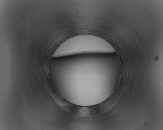 X0000091690091200708231140