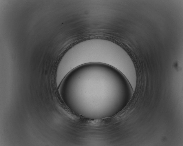 X0000091690092200708231140