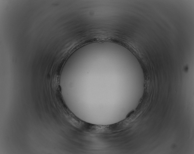 X0000091690093200708231140