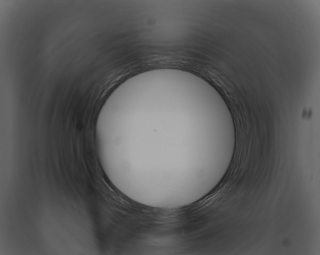 X0000091690096200708231140