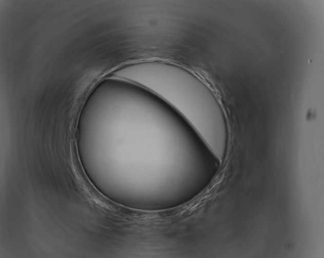 X0000091690097200708231139