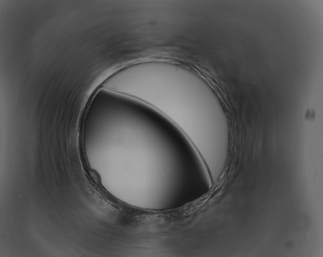 X0000091690100200708231139