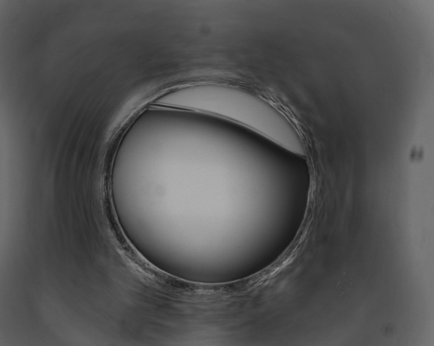 X0000091690101200708231139