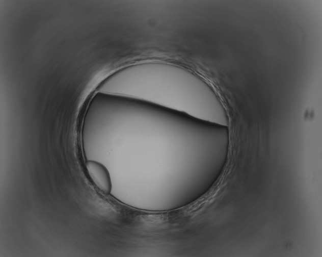 X0000091690102200708231139