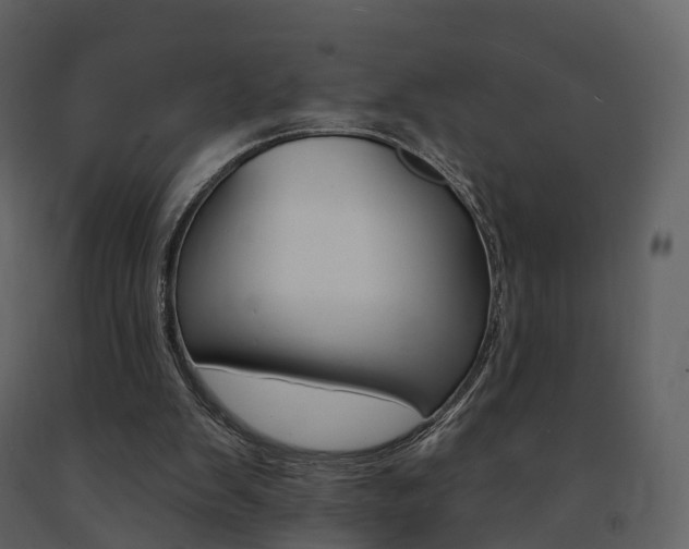 X0000091690103200708231139