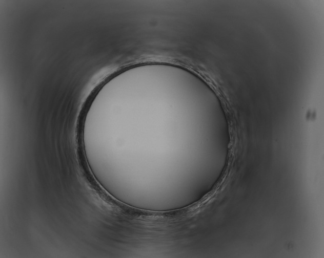 X0000091690104200708231139