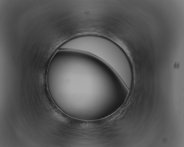 X0000091690105200708231139
