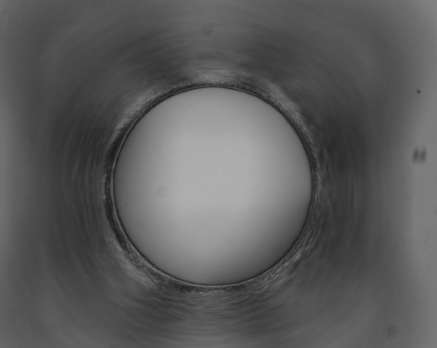 X0000091690106200708231139