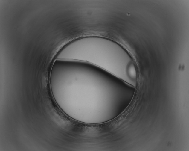 X0000091690107200708231139