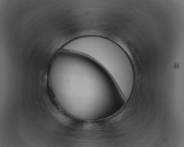 X0000091690109200708231139
