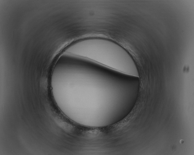 X0000091690112200708231139