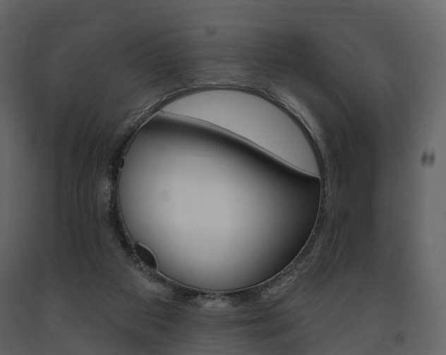 X0000091690113200708231139