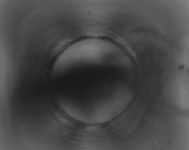 X0000091690114200708231139